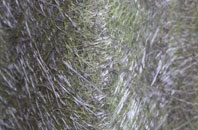 Stratfield Turgis fibreglass roof work